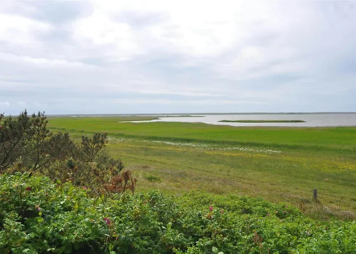Holiday home 40325-ulfborg-helmklitvej-449 Ulfborg